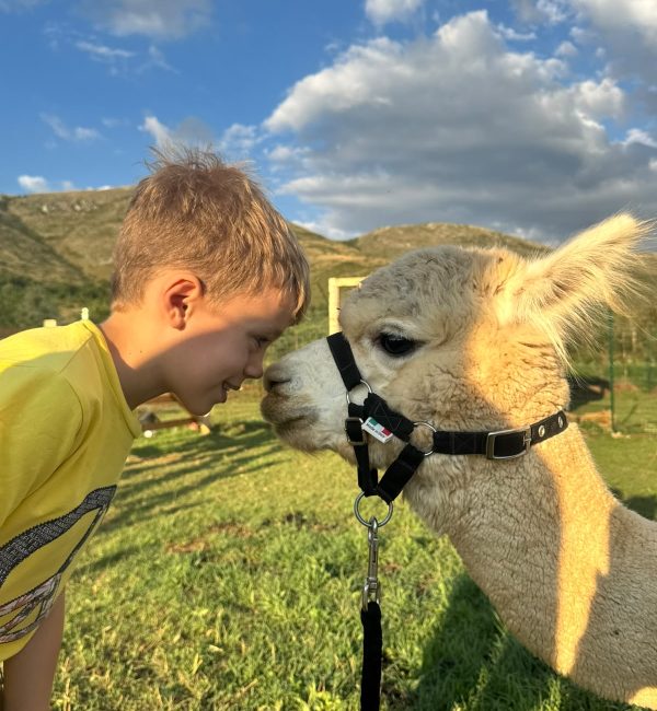 alpaca experience abruzzo